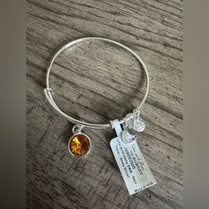 NEW ALEX AND ANI Charm Bracelet NWT Crystal Birthstone Topaz Shin…